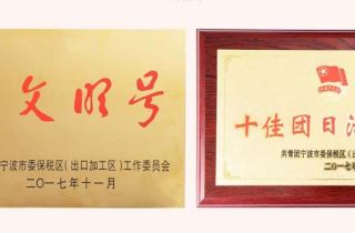 寧波萌恒工貿有限公司榮獲“青年文明號”、“十佳團日”稱號